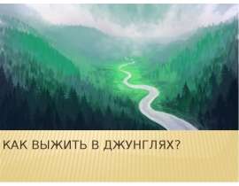 Правила выживания в джунглях