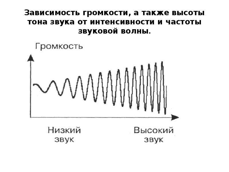 Звук 10 максимум. Звуковая волна. Частота и громкость звука. Высота тона звука. Зависимость громкости от частоты.