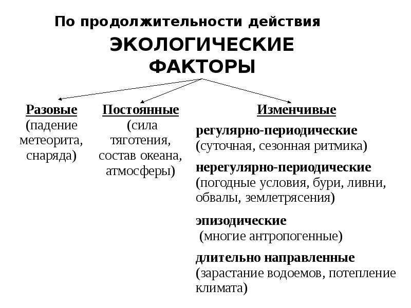 Экологические термины