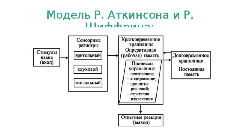 Схема памяти по р аткинсону и р шифрину