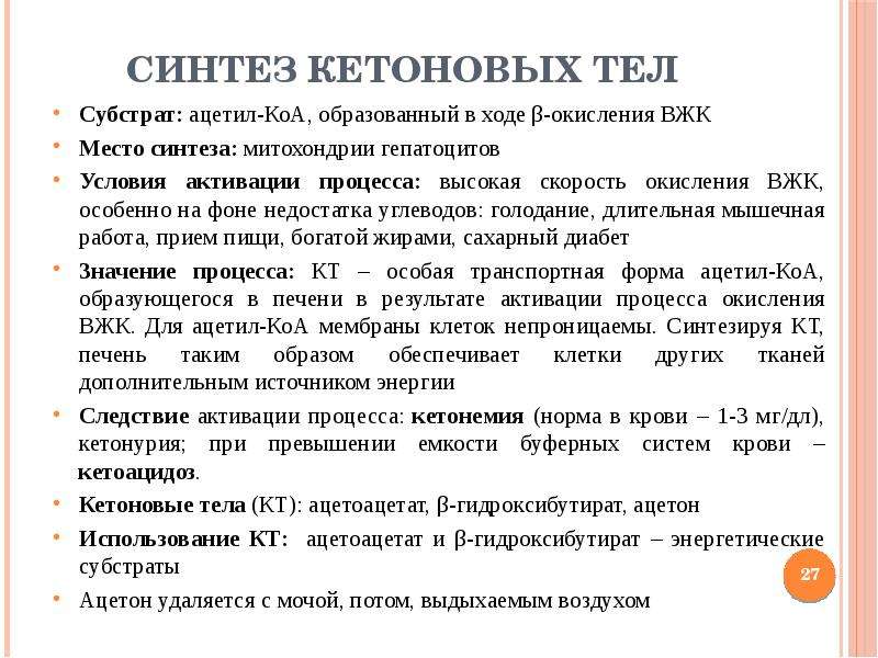 Теле синтез. Синтез кетоновых тел. Синтез кетоновых тел происходит в. Синтез кетоновых тел активируется. Регуляция образования кетоновых тел.