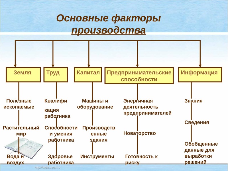 Что представляет собой экономический пирог