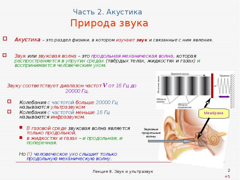 Звуки природы звук 2. Какова природа звука. Какова физическая природа звука. Какова природа звука физика. Звуковые волны в природе.