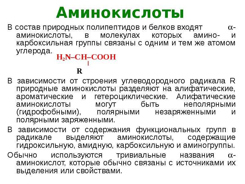 Презентация о аминокислотах