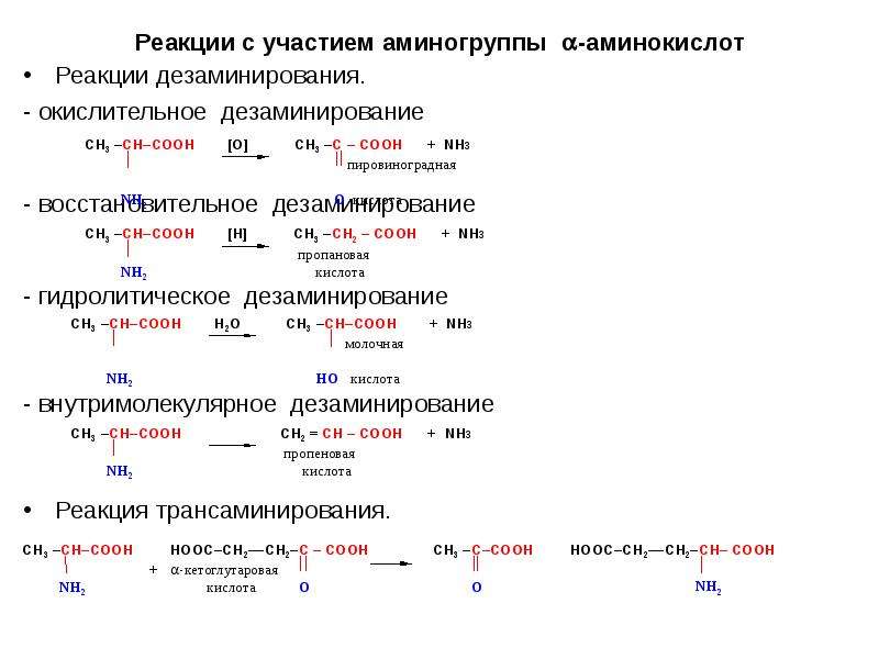 При гидролитическом дезаминировании альфа аминокислот образуется. Гидролитическое дезаминирование аминокислот реакция. Механизмы удаления аминогрупп из аминокислот. Реакция дезаминирования аминокислот. Реакции аминокислот по аминогруппе.