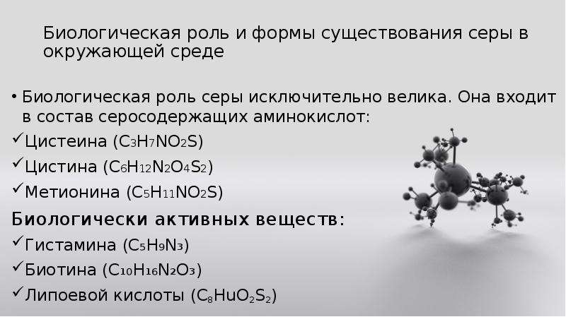 Значение серы. Медико биологическое значение серы. Биологическое значение серы. Биологическая роль серы в организме. Биологическое значение серы в организме.