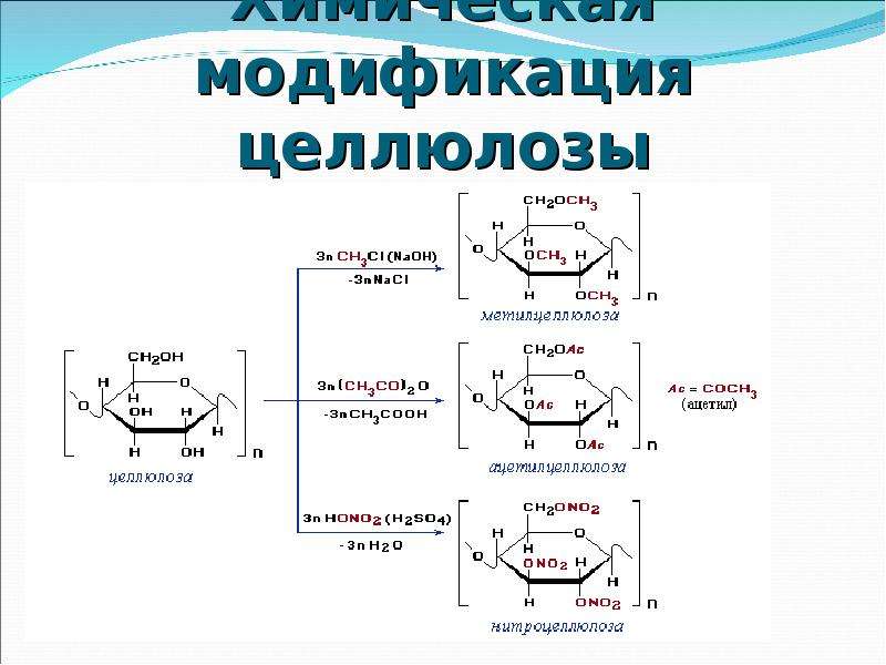 Производные целлюлозы. Целлюлоза в динитрат целлюлозы. Строение полимера целлюлозы. Схема модификации целлюлозы. Целлюлоза формула полимера.