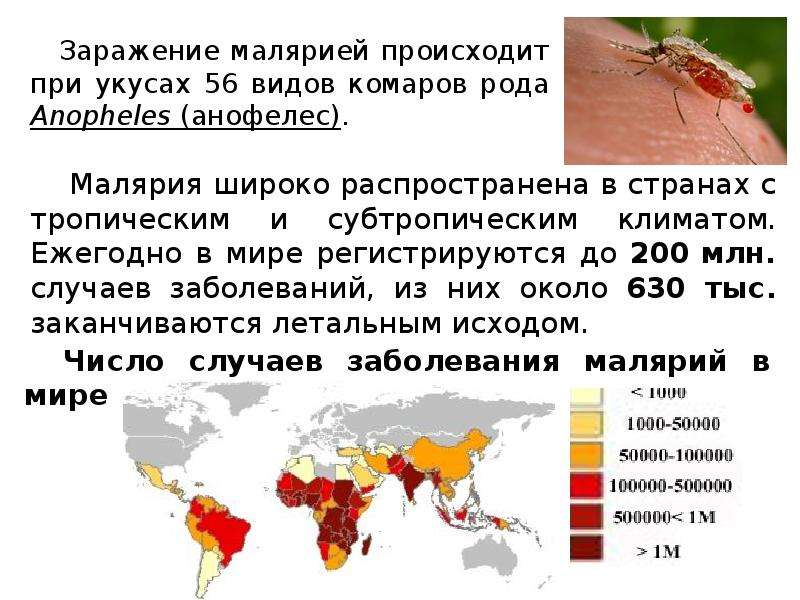 Заболеваемость малярией