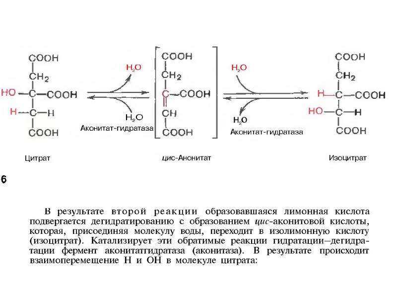 Реакция катализируемая алт. Аконитатгидратаза (аконитаза). Общий путь биоокисления. Аконитаза фермент. Аконитаза катализирует реакцию.