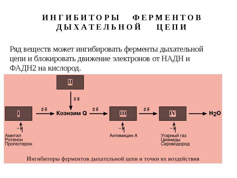 Ряды веществ. Ингибиторы комплексов дыхательной цепи. Блокаторы ферментов дыхательной цепи. Ингибиторы i комплекса дыхательной цепи. Ингибирование ферментов дыхательной цепи.