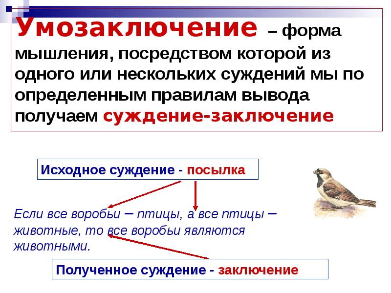 Умозаключение примеры