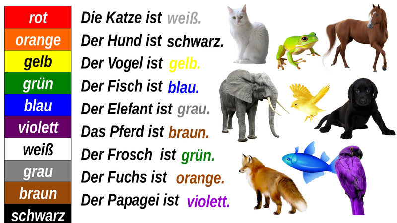 Tiere und Farben, слайд № 6 