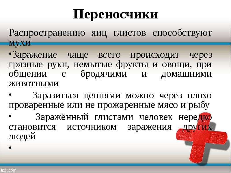 Глистные заболевания и меры их предупреждения сбо 8 класс презентация