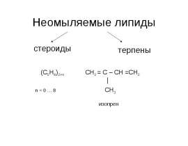 Неомыляемые липиды. Стероиды