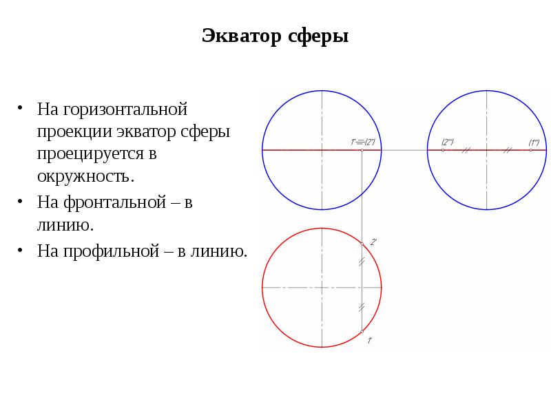 Экватор сферы. Горизонтальная проекция круга. Окружность на сфере. Вращение окружности образует.