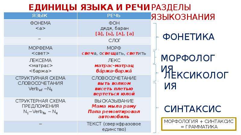 Культура речи как учебная дисциплина