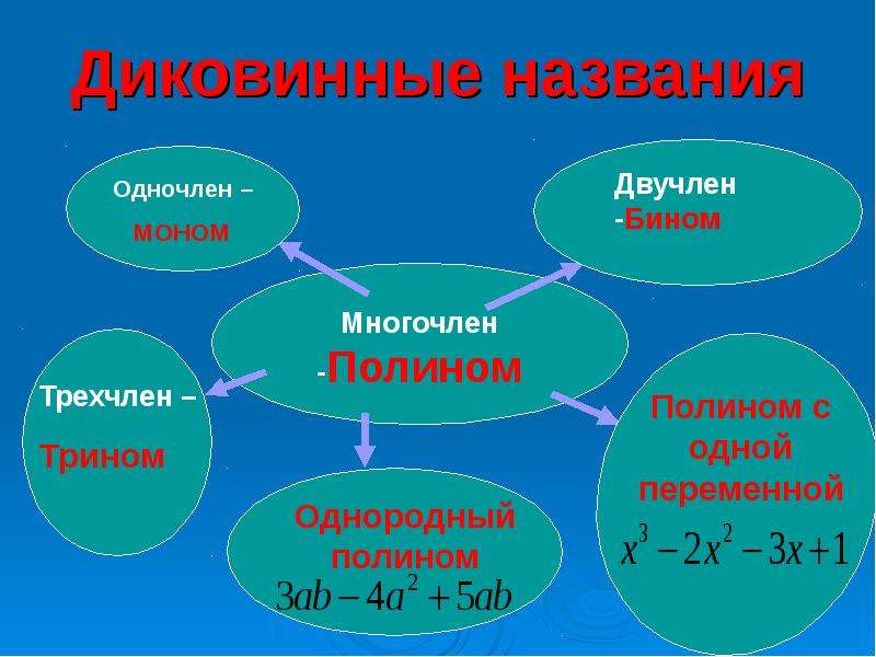 Многочлен прикол картинки