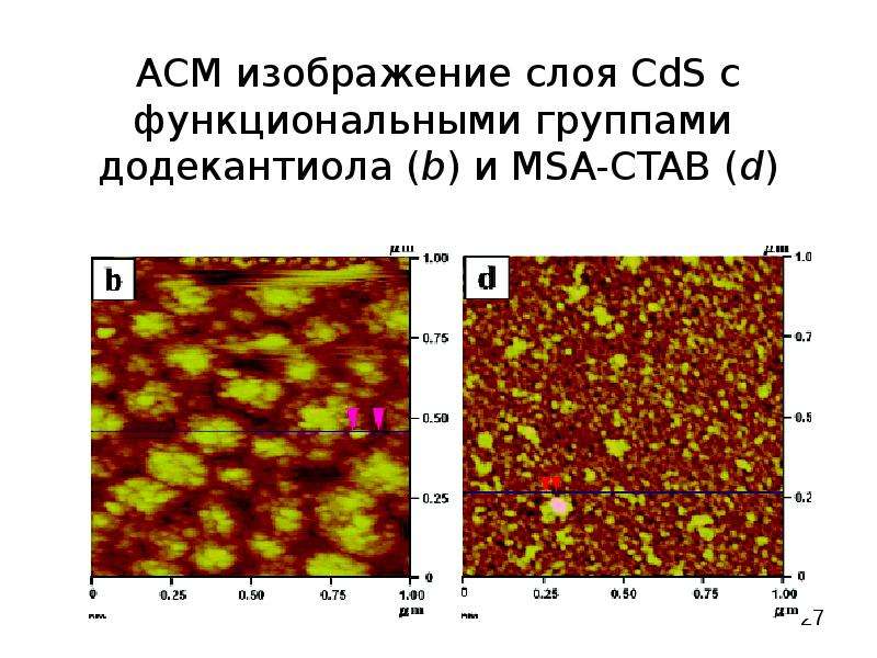 Асм изображения это