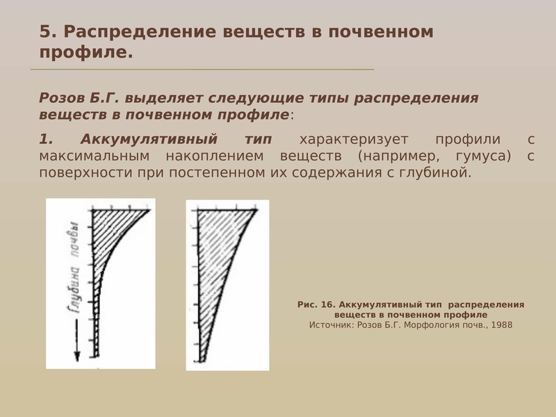 Распределение вещества. Типы распределения веществ в почвенном профиле. Типы распределения веществ в профиле почв.. Аккумулятивный Тип распределения веществ в почвенном профиле. Типы распределения вещества по профилю почвы.