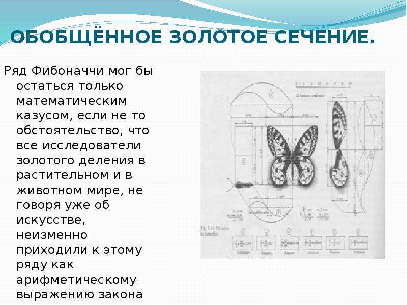 Проект числа фибоначчи гипотеза