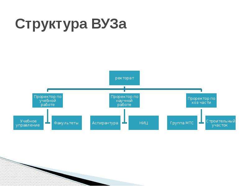 Высокая структура. Организационная структура высшего учебного заведения схема. Организационная структура управления университета. Организационная структура вуза пример. Структура университета схема пример.