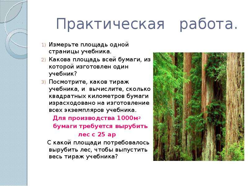 Характеристика переменно влажных лесов. Площадь одной страницы учебника. Процесс измерения площади леса.