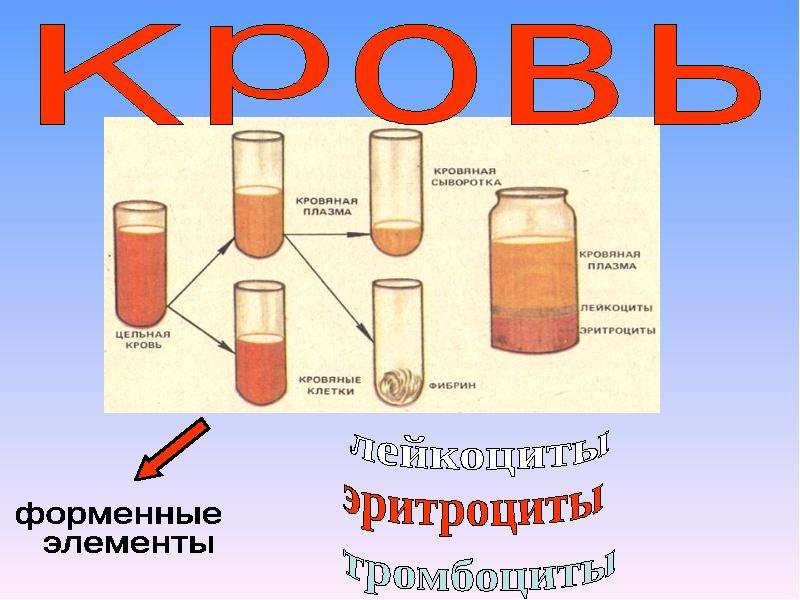 Схема переливания плазмы крови