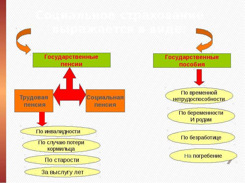 Учебные мини проекты страхование 5 класс