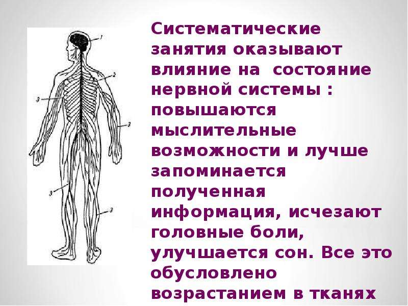 Систематические занятия это. Систематические упражнения.