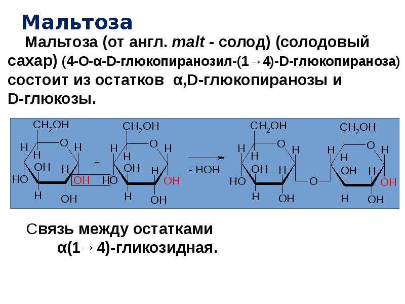 B d мальтоза