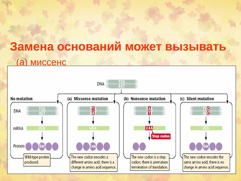 Смена оснований. Миссенс кодон это. Миссенс презентация. Миссенс и нонсенс мутации. Пластмассовый канцерогенез.