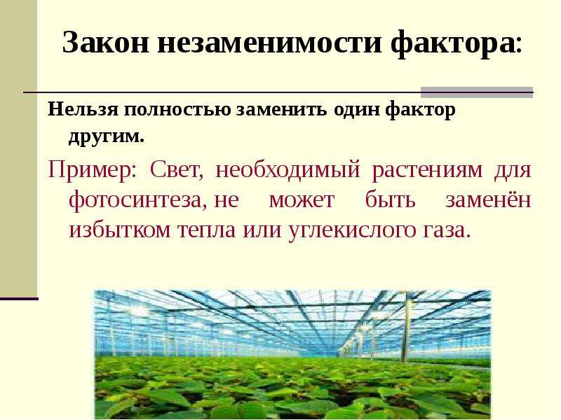 Закономерности действия факторов среды на организмы презентация 9 класс пономарева