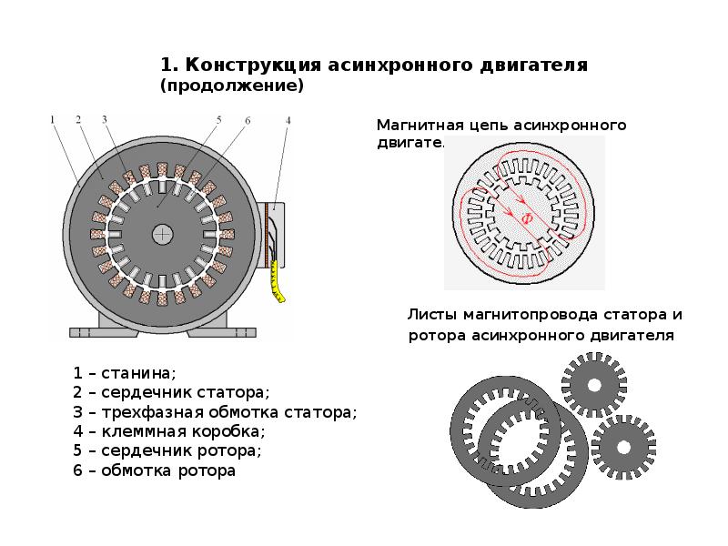 Чертеж ротора асинхронного двигателя