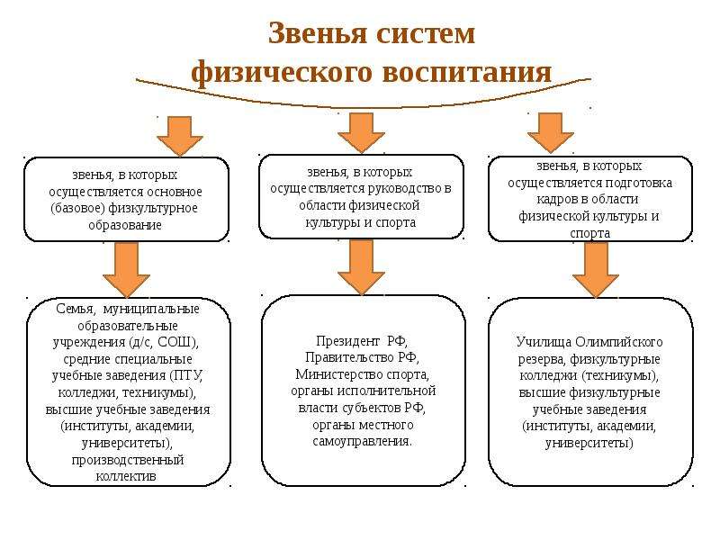 Система физического воспитания. Звенья системы физического воспитания. Схема системы физического воспитания. Структура системы физического воспитания. Организационные основы системы физического воспитания.