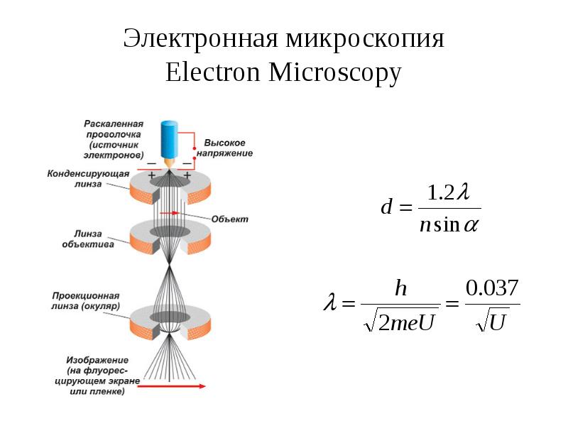 Электронная микроскопия принцип микроскопии