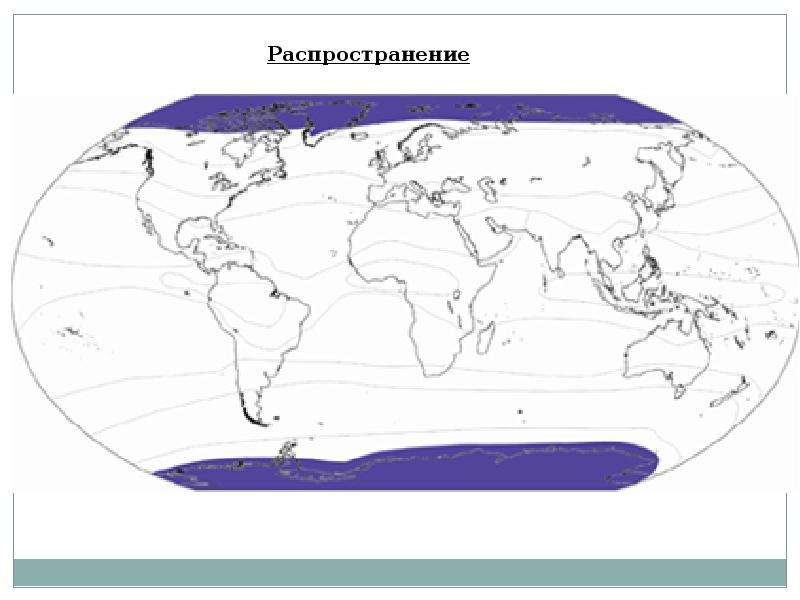 Полярный пояс на карте. Арктический и антарктический климатические пояса на карте.