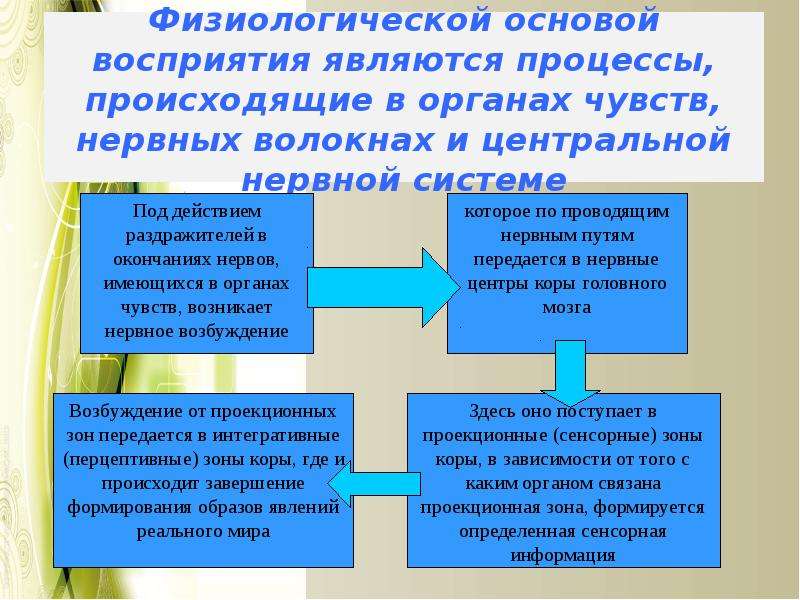 Восприятием называется психический процесс суть которого в