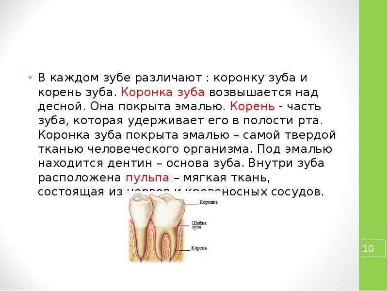 Как зубная паста влияет на прочность зубов презентация