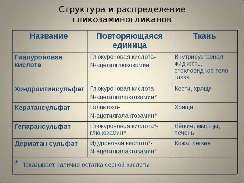 Обмен углеводов презентация