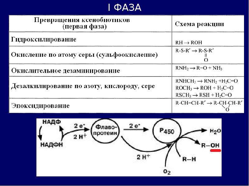 Ксенобиотики биохимия презентация