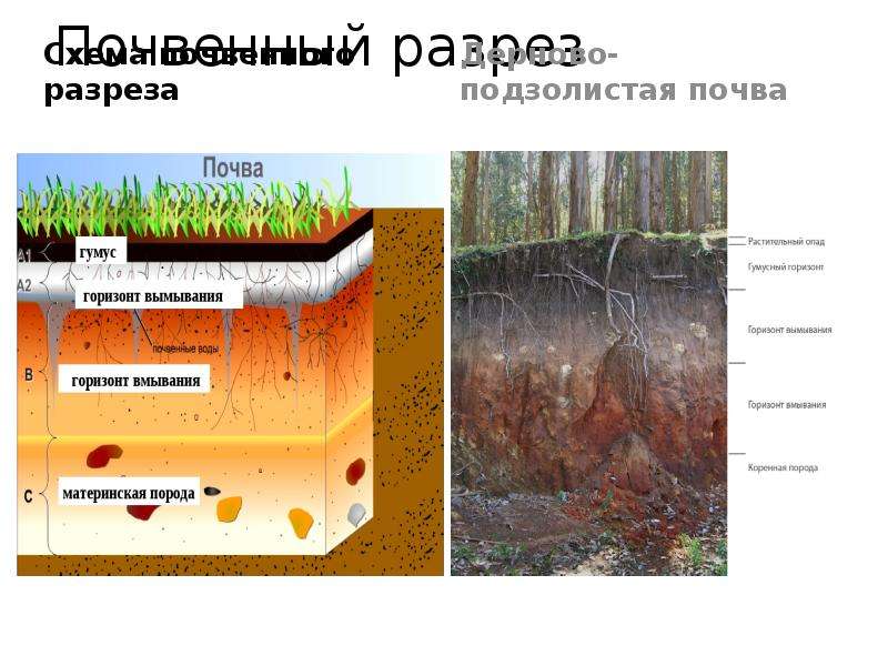 Проект исследование почвы