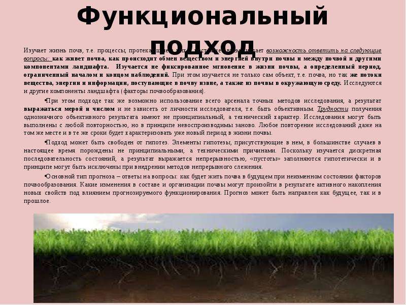 Почва жизнь. Жизнь в почве. Подходе почвы. Функциональный изучения почвы. Актуальность анализа почвы.