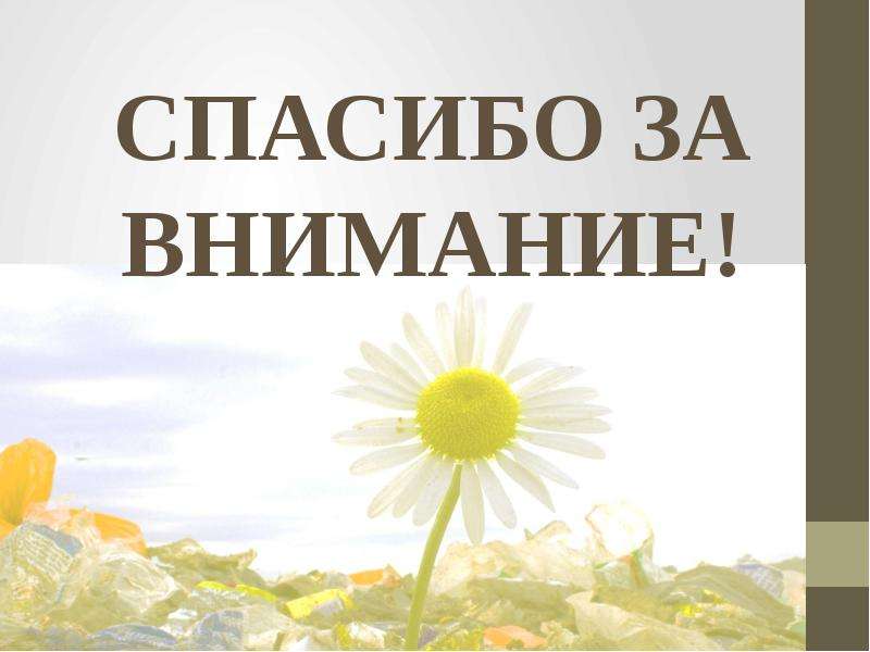 В центре внимания рассказа. Спасибо за внимание. Спасибо за внимание история. Спасиботза внимание история.