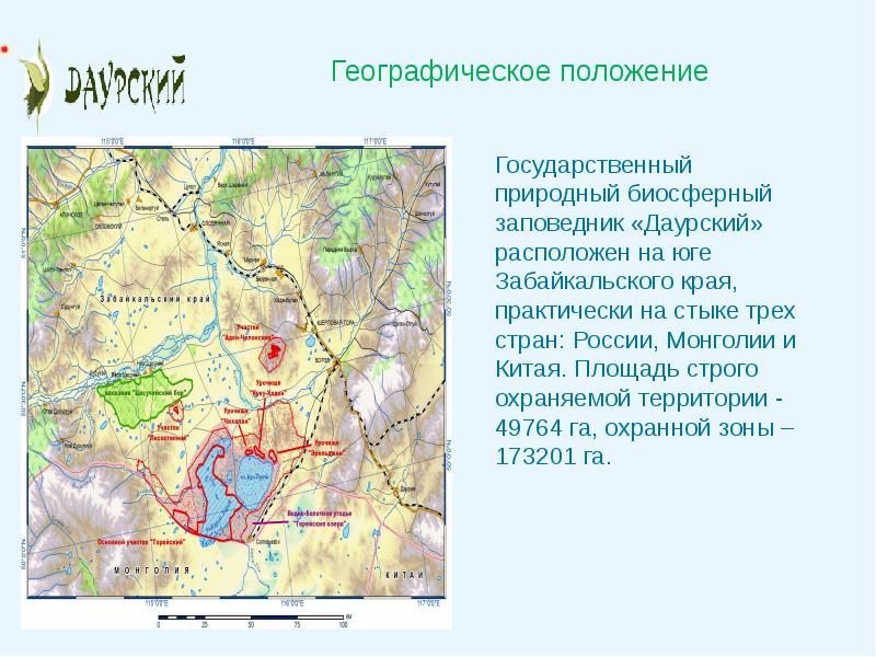 Даурский заповедник презентация