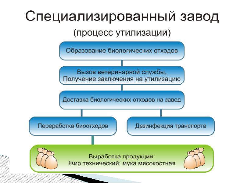 Утилизации ветеринарных отходов