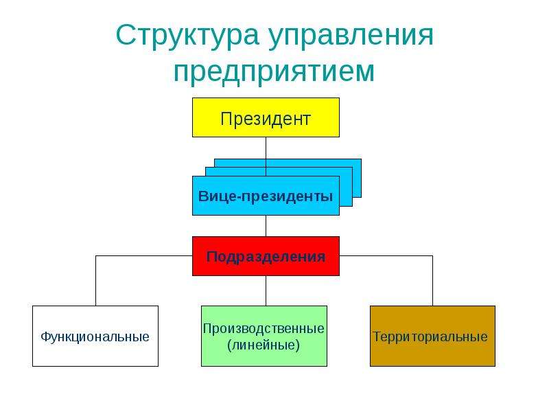 Структура управления предприятием
