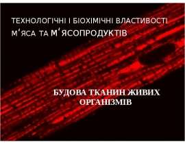 Технологічні і біохімічні властивості м‘яса та м‘ясопродуктів. Будова тканин живих організмів