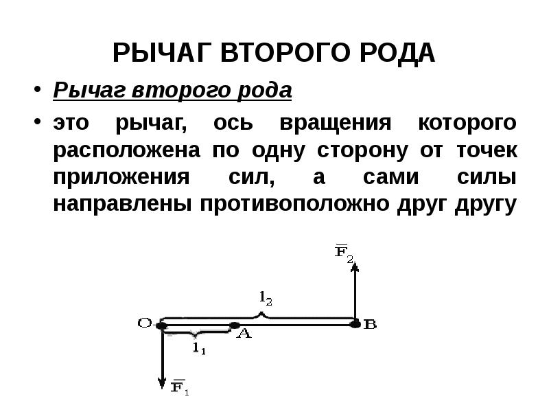 Механические свойства биологических тканей