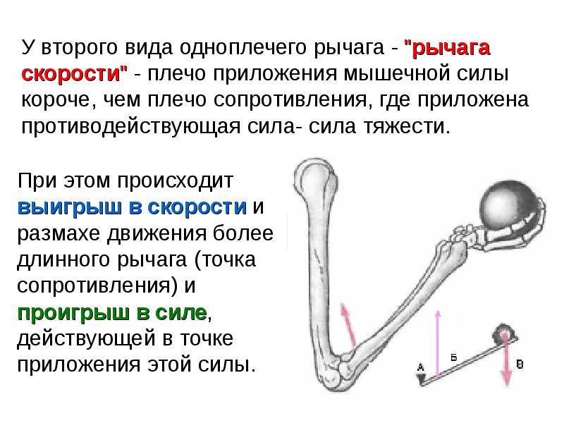 Рычаги усилия