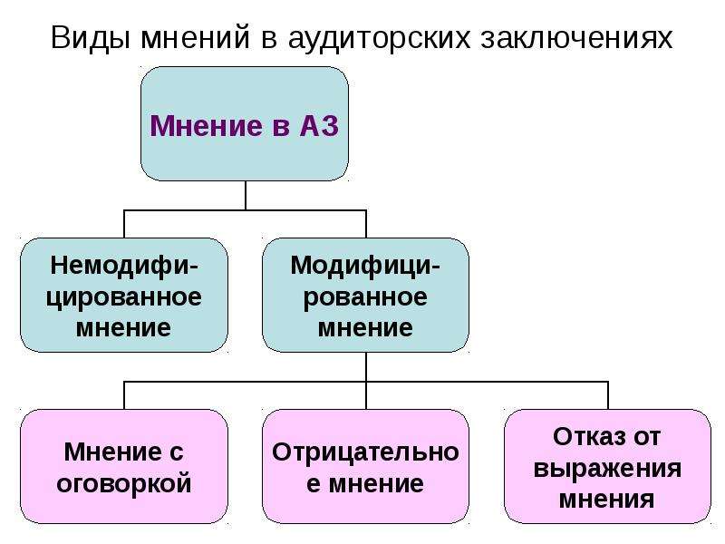 Виды мнений